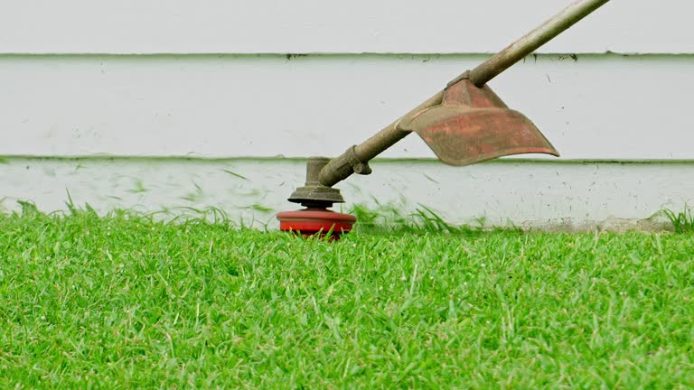 Best Artificial Turf Installation  in Matteson, IL